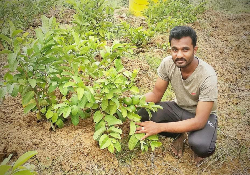 Natural Farming